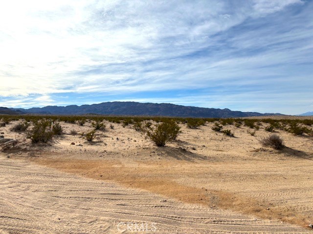 Detail Gallery Image 10 of 10 For 0 Primrose Ln, Twentynine Palms,  CA 92277 - – Beds | – Baths