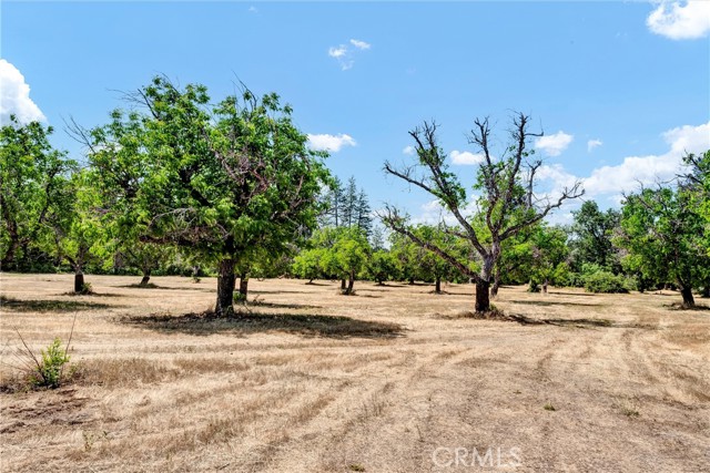 22550 Shady Grove Road, Middletown CA: https://media.crmls.org/medias/6d364d88-6031-4265-a546-179f7dcd1d3e.jpg