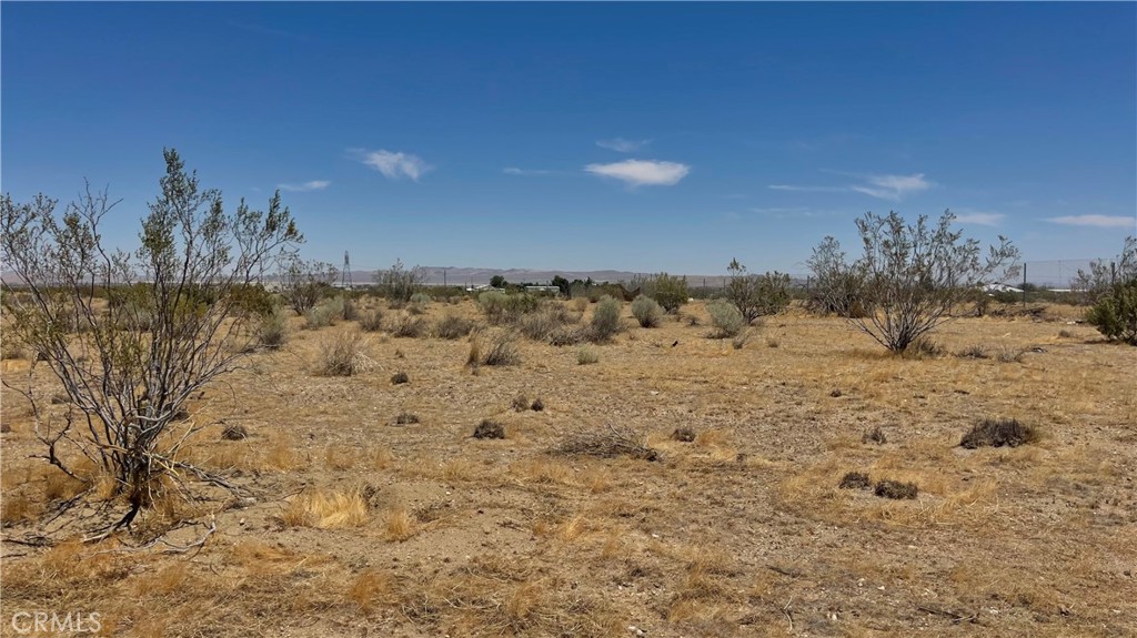 MLS #OC25133551 image #9