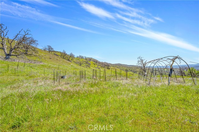 9250 Sky High Ridge Road, Lower Lake, California 95457, ,Land,For Sale,9250 Sky High Ridge Road,CRLC23060535