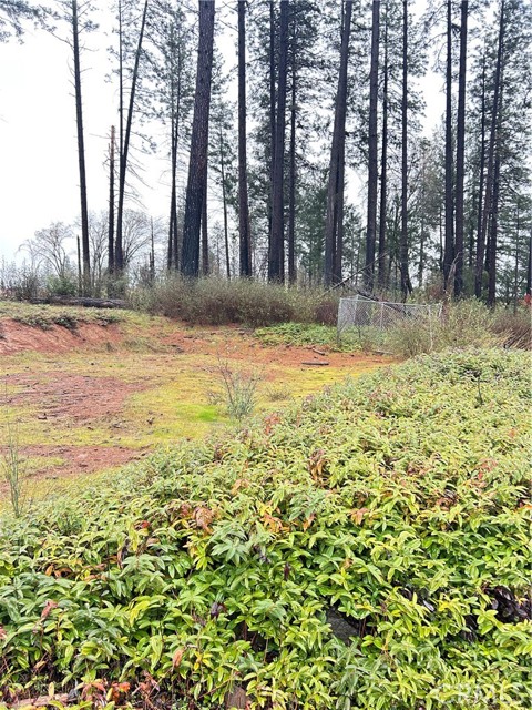 Detail Gallery Image 5 of 8 For 6772 Quail, Paradise,  CA 95969 - – Beds | – Baths