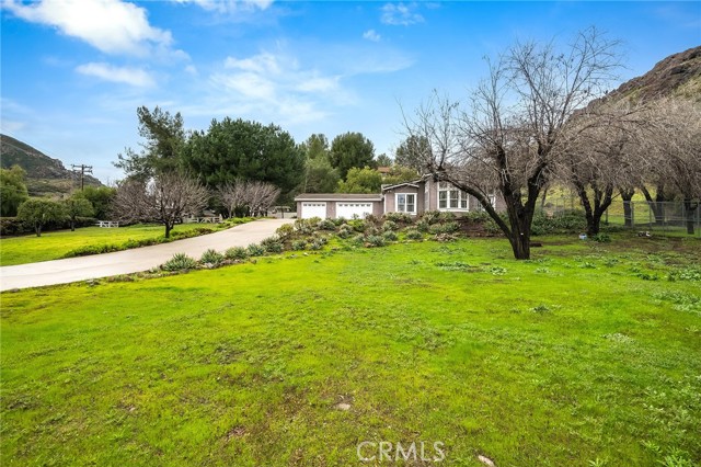31041 Lobo Canyon Road photo 6