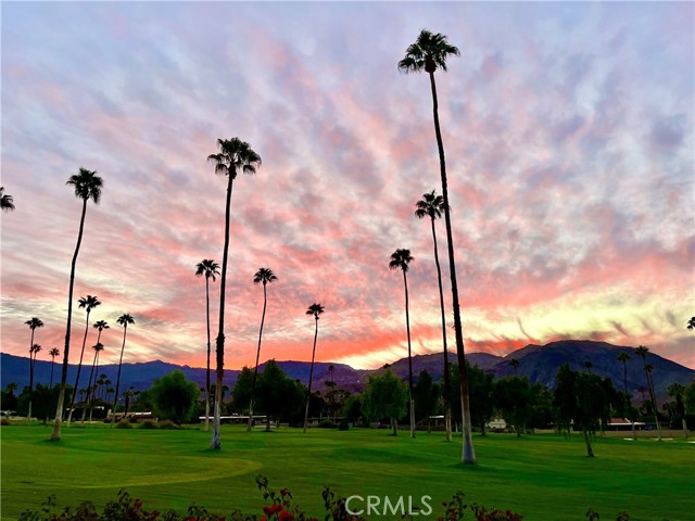 46125 Burroweed Ln., Palm Desert CA: https://media.crmls.org/medias/6d4cd18d-db41-4b8c-abbc-366529f14633.jpg
