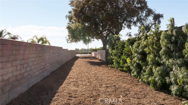 410 N Angelina Drive, Placentia CA: https://media.crmls.org/medias/6d4e3c63-13aa-42a4-9db3-a6ae519e00c4.jpg