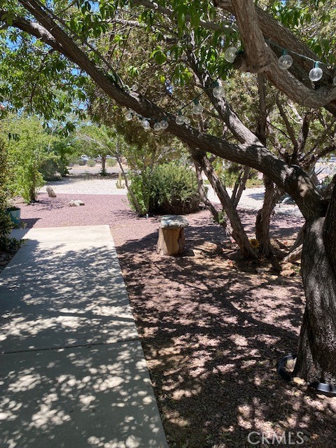 15805 Muscatel Street, Hesperia CA: https://media.crmls.org/medias/6d4ed8b2-55a3-478d-84c3-a3fb4a845353.jpg