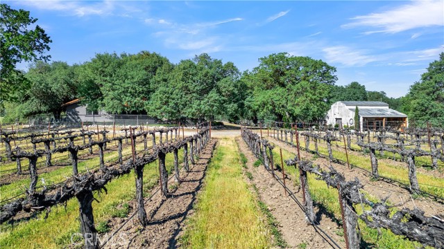 Detail Gallery Image 62 of 66 For 53600 Bradley Lockwood, Bradley,  CA 93426 - 3 Beds | 2 Baths