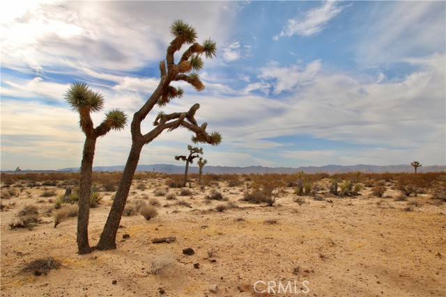 Front Image Thumbnail for CRJT26188157