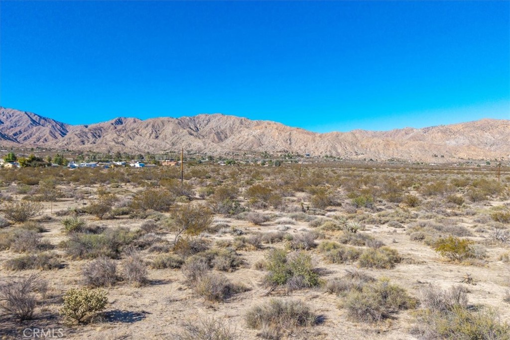 MLS #JT25257903 image #20