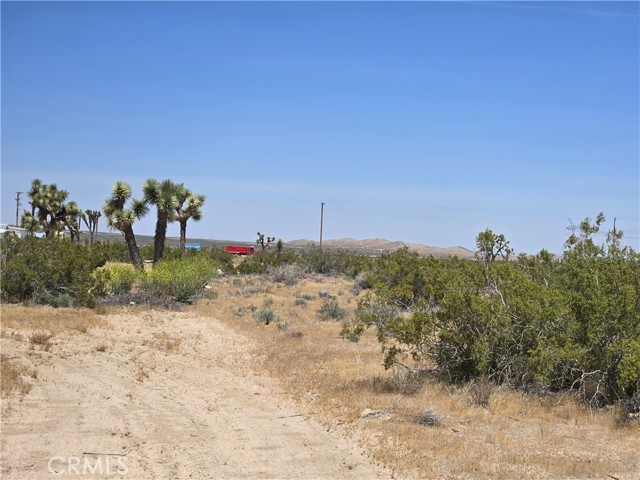 Detail Gallery Image 6 of 7 For 10 Acres Beaver Ave, Adelanto,  CA 92301 - – Beds | – Baths