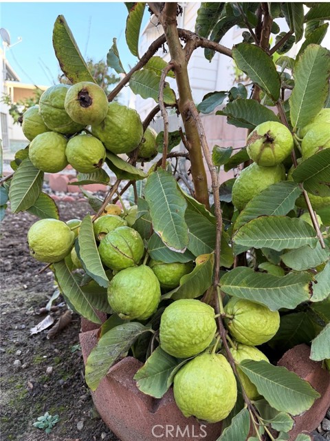 Detail Gallery Image 28 of 29 For 1441 Paso Real Ave #300,  Rowland Heights,  CA 91748 - 4 Beds | 3 Baths