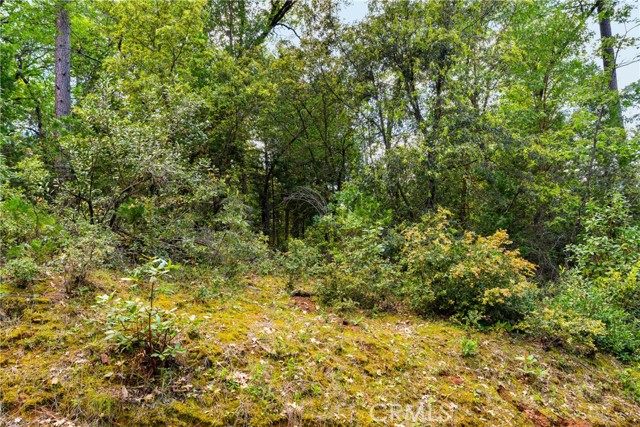 Image 22 of 24 For 21324 Aqueduct Circle