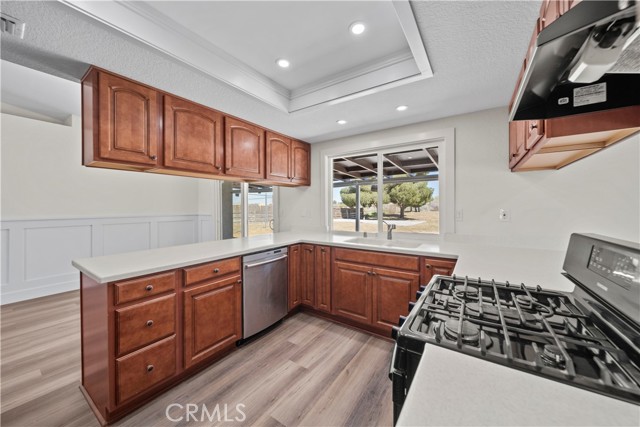 Detail Gallery Image 16 of 59 For 37564 97th St, Littlerock,  CA 93543 - 4 Beds | 2 Baths