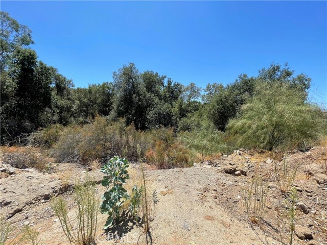 0 The Farm Rd, Wildomar, California 92595, ,Land,For Sale,0 The Farm Rd,CRSW22222726