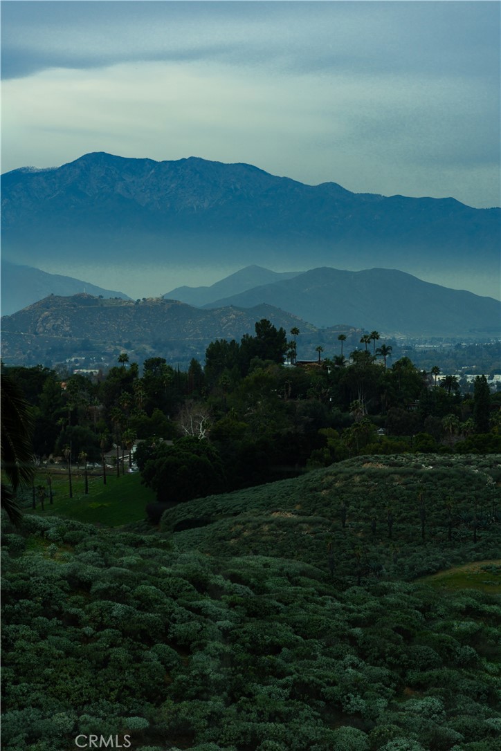 https://media.crmls.org/medias/6d760215-9b86-4e22-ab3c-09e77a66334d.jpg?preset=X-Large