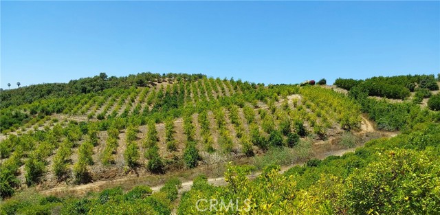 5 De Anza Road, Temecula CA: https://media.crmls.org/medias/6d7832f8-60b6-44b9-8b0f-a43a918c0e6a.jpg