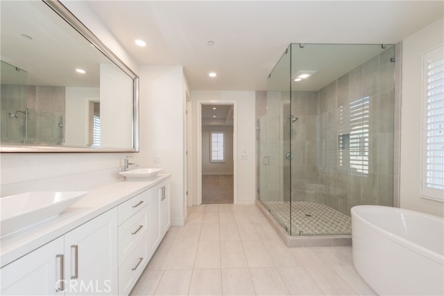 Master Bathroom view 1