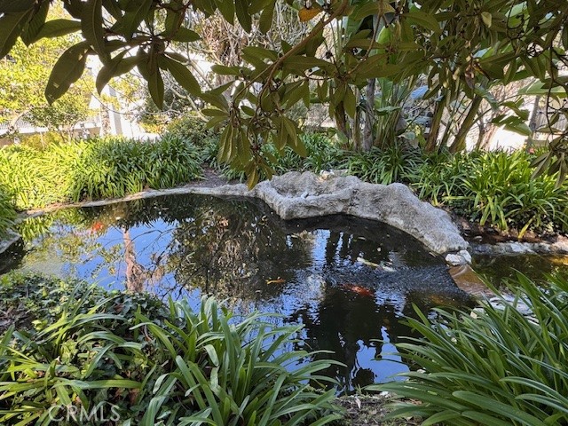 Koi pond and waterfalls Koi pond and waterfalls