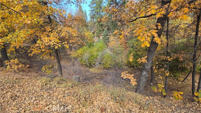 Detail Gallery Image 6 of 19 For 1000 Butte Ave, –,  CA 92314 - – Beds | – Baths