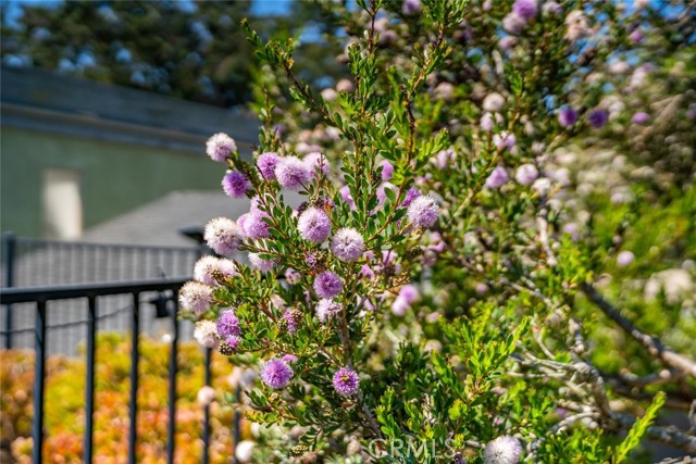 Detail Gallery Image 65 of 75 For 372 Main Street, Morro Bay,  CA 93442 - 3 Beds | 3 Baths