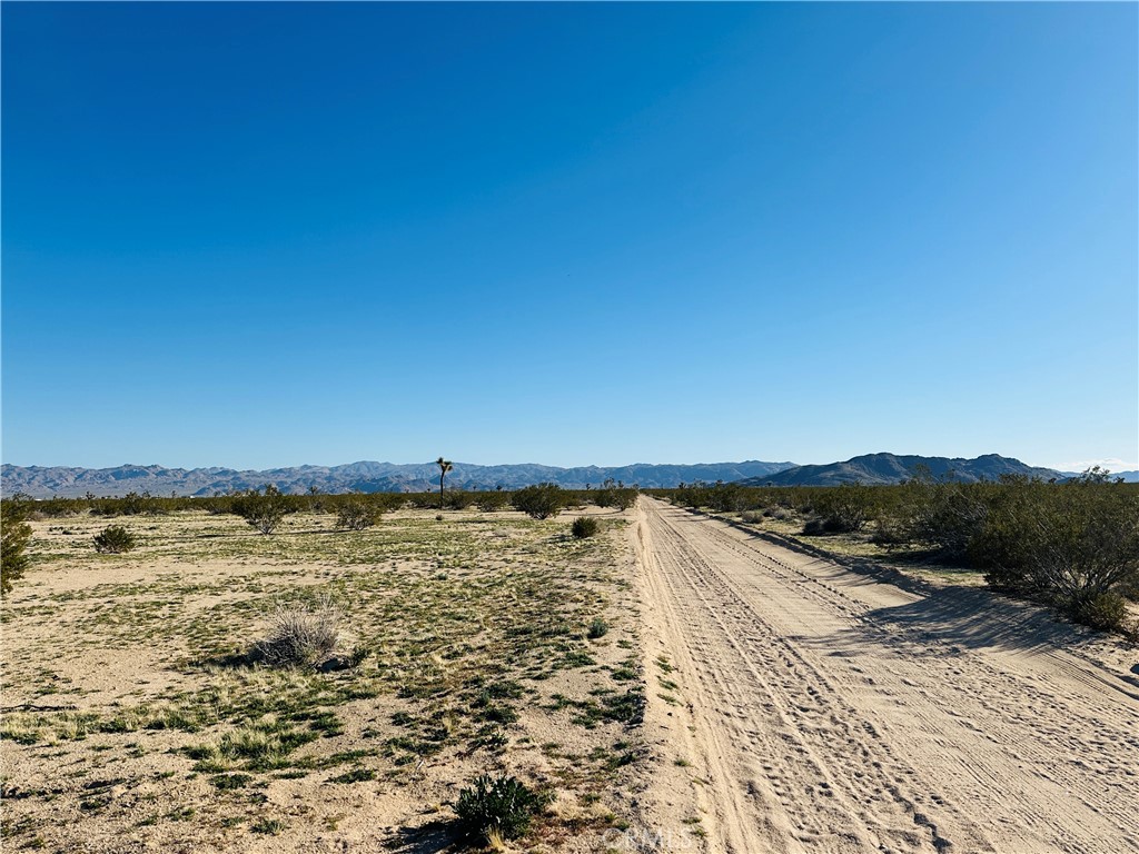 MLS #JT25045607 image #3