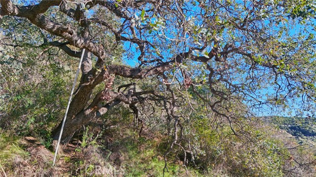 Detail Gallery Image 35 of 37 For 0 3 Vuelta Grande Rd, Temecula,  CA 92590 - – Beds | – Baths