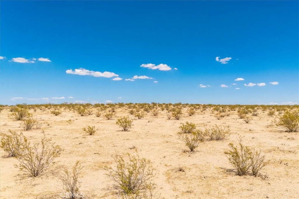 MLS #JT25263725 image #7