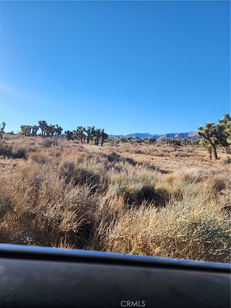 MLS #CV25255822 image #38