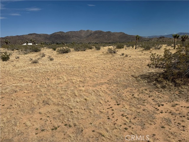 Detail Gallery Image 27 of 32 For 0 Japatul Rd, Apple Valley,  CA 92307 - – Beds | – Baths