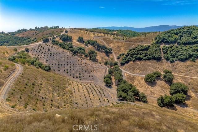 3 La Cruz Drive, Temecula, California 92590, ,Land,For Sale,3 La Cruz Drive,CRSW24061796