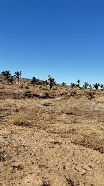 Detail Gallery Image 4 of 10 For 56825 Sun Oro Dr, Yucca Valley,  CA 92284 - – Beds | – Baths