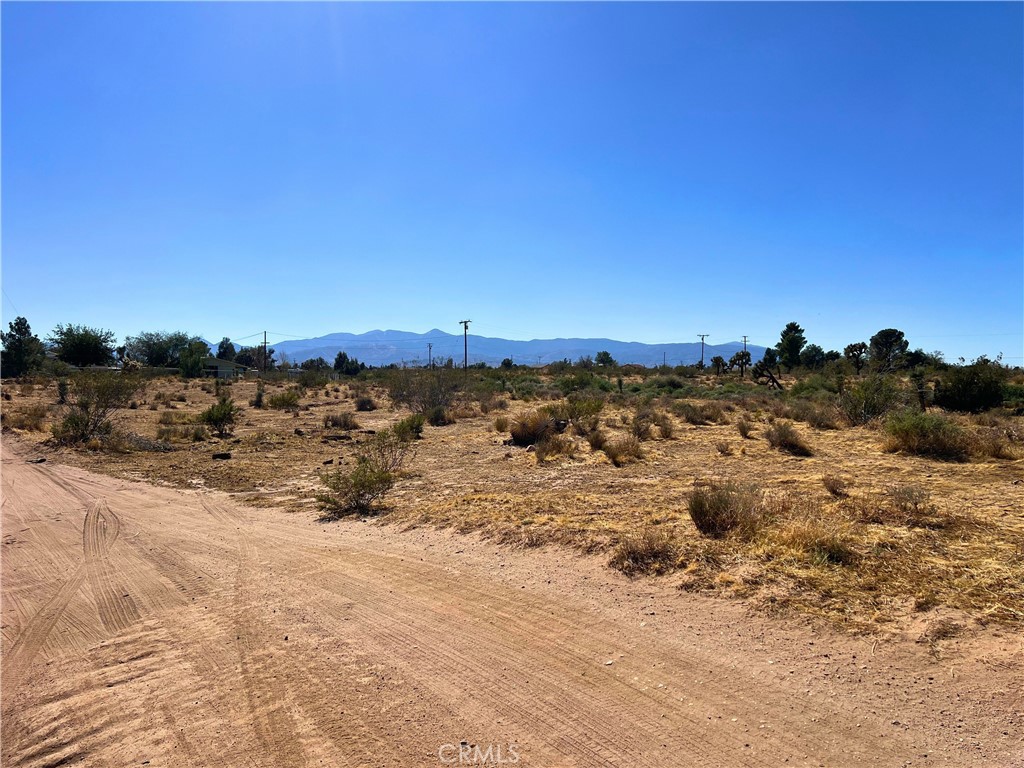 MLS #OC24174508 img 9