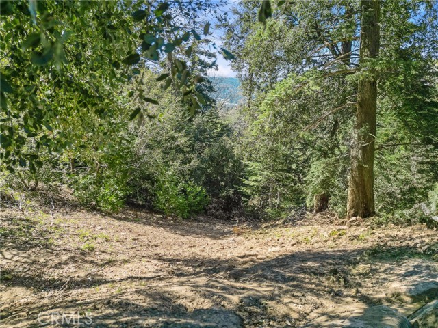 Front Image Thumbnail for CRIG26051474