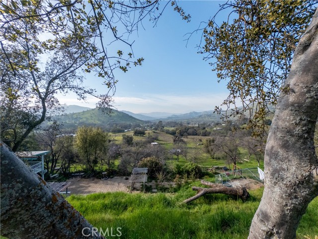 Detail Gallery Image 45 of 49 For 38758 Aster, Squaw Valley,  CA 93675 - 3 Beds | 2/1 Baths