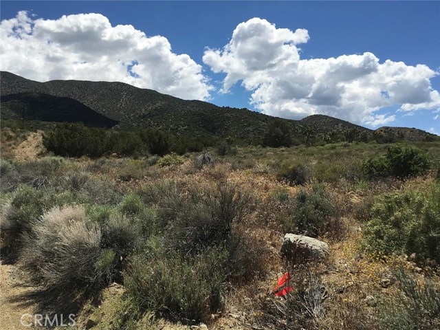 0 Tenterdon Street, Littlerock CA: https://media.crmls.org/medias/6db3f543-8d37-4944-bc26-b266329a3e80.jpg