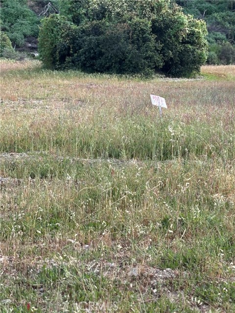 Detail Gallery Image 2 of 7 For 0 San Martinez Rd, Val Verde,  CA 91384 - – Beds | – Baths