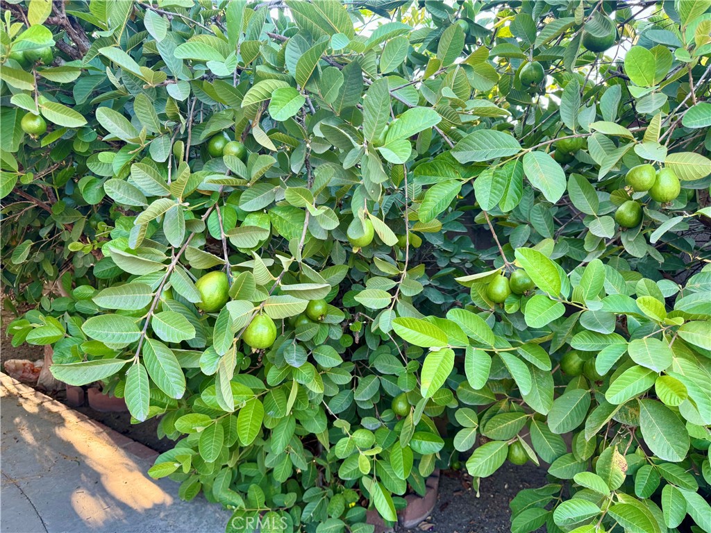 https://media.crmls.org/medias/6dbc2280-5764-4442-96ae-4b0fc0380587.jpg?preset=X-Large