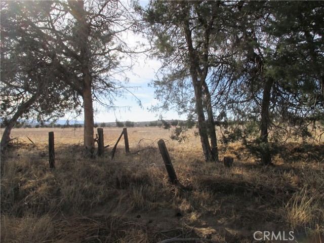 Detail Gallery Image 7 of 7 For 0 Highway 371, Anza,  CA 92539 - – Beds | – Baths
