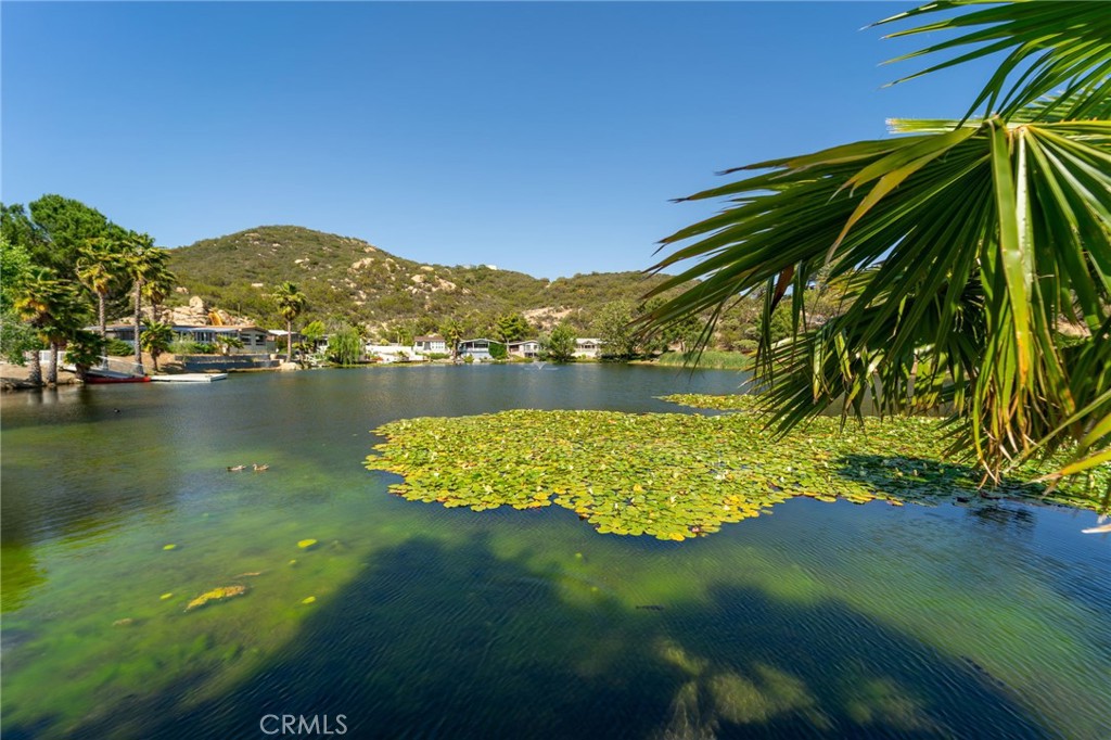 https://media.crmls.org/medias/6dc17d8c-726c-4d1c-b47f-b13740294f0a.jpg?preset=X-Large