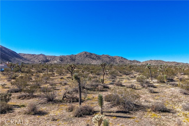 Detail Gallery Image 11 of 15 For 7442 Olympic Rd, Joshua Tree,  CA 92252 - – Beds | – Baths