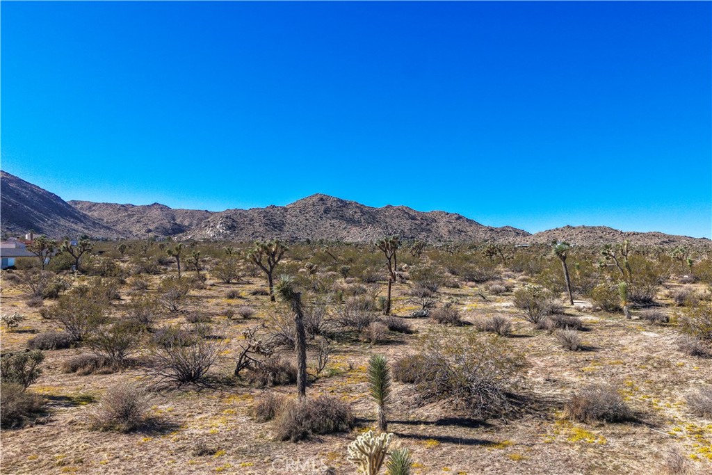 MLS #JT25246820 image #10