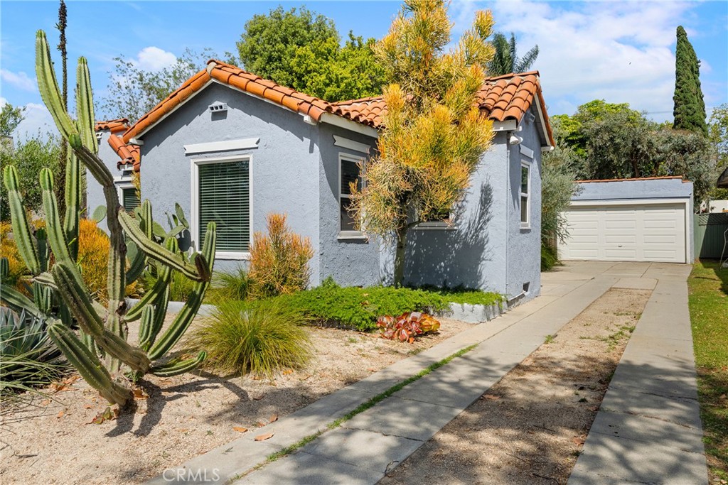 2240 Eucalyptus