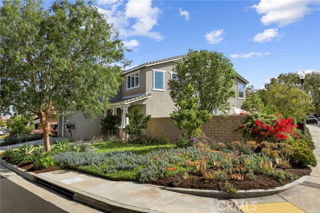 24229 La Montura Drive, Valencia CA: https://media.crmls.org/medias/6dd025f3-6e85-41f6-887d-dd4646682437.jpg