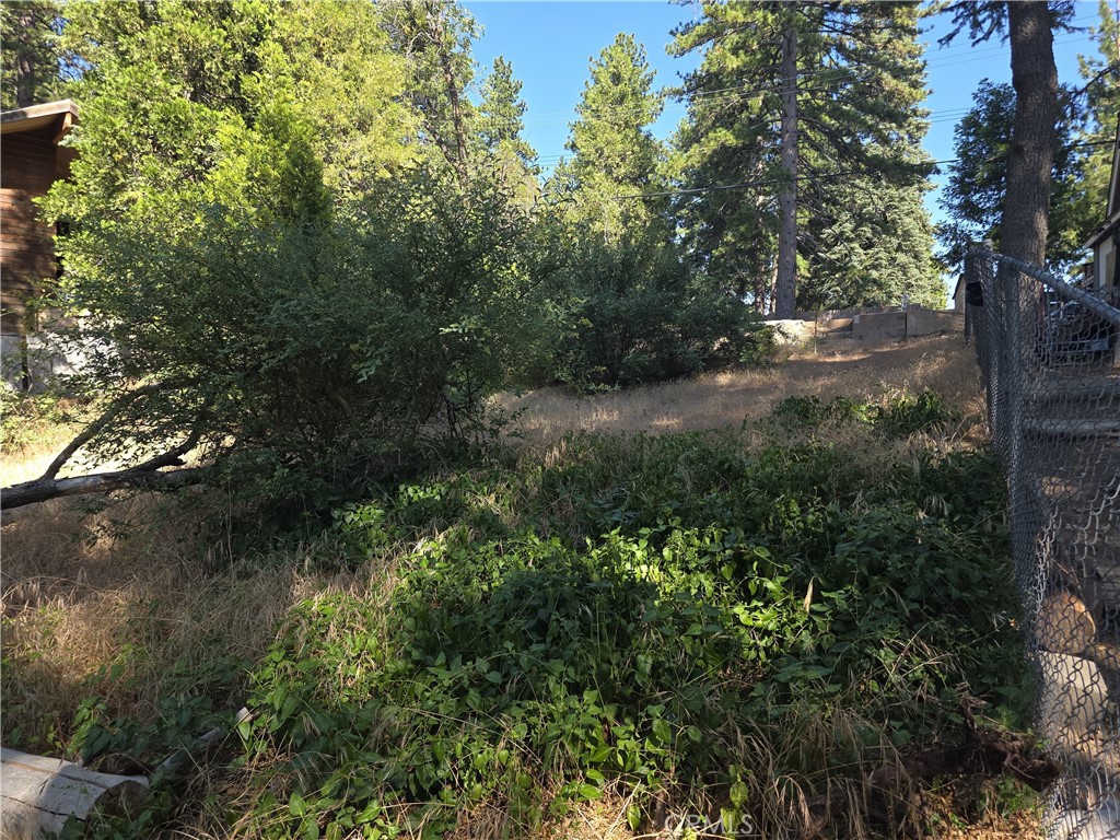 MLS #IV25164283 image #25