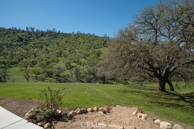 Detail Gallery Image 24 of 63 For 2935 Sorrel Ln, Paso Robles,  CA 93446 - 4 Beds | 2/1 Baths