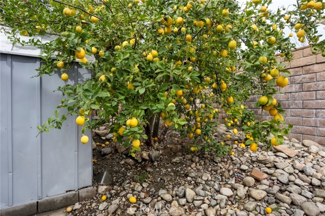 Detail Gallery Image 59 of 75 For 3684 Veronica Ct, Rialto,  CA 92377 - 4 Beds | 3 Baths