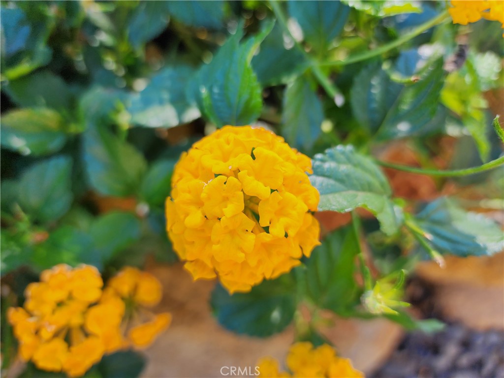 https://media.crmls.org/medias/6de7d6af-c77e-4b3c-bef5-1ec06f16fcd6.jpg?preset=X-Large