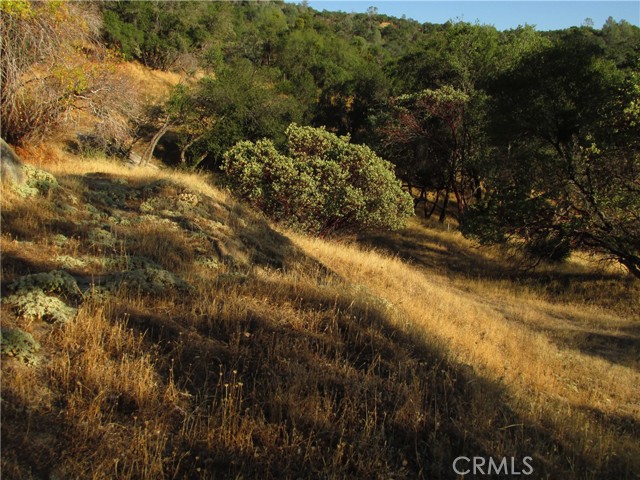 Detail Gallery Image 40 of 54 For 2 Ac Old Oaks Ct, North Fork,  CA 93643 - – Beds | – Baths