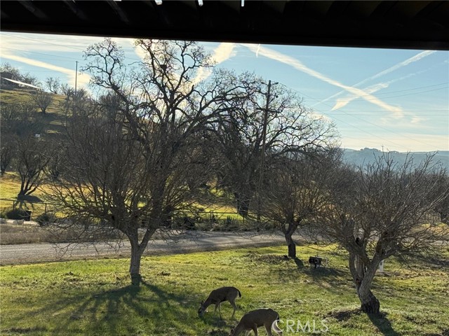 Detail Gallery Image 40 of 40 For 990 Akron Rd, Templeton,  CA 93465 - 3 Beds | 2 Baths
