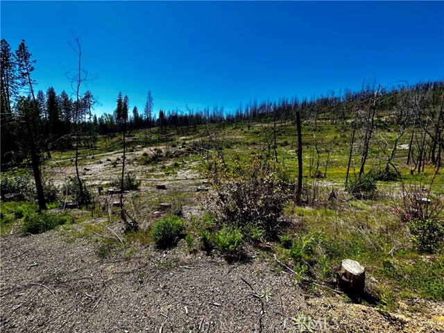 12 Azalea Lane, Berry Creek, California 95916, ,Land,For Sale,12 Azalea Lane,CRSN23072179