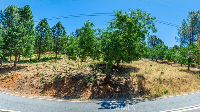 Detail Gallery Image 44 of 75 For 3126 Edgewood Drive, Kelseyville,  CA 95451 - – Beds | – Baths